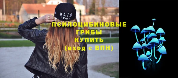 молекула духа Красноперекопск