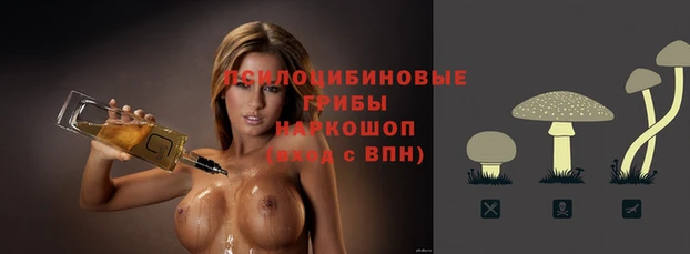 крисы Краснотурьинск