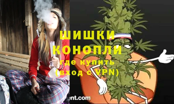 молекула духа Красноперекопск