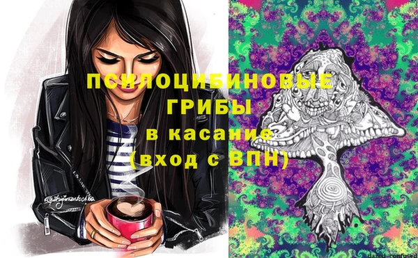 а пвп мука Коряжма