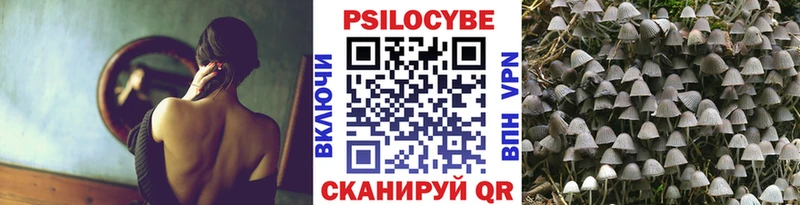 что такое наркотик  Лобня  Псилоцибиновые грибы Cubensis 