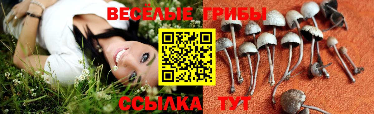 Псилоцибиновые грибы прущие грибы Лобня