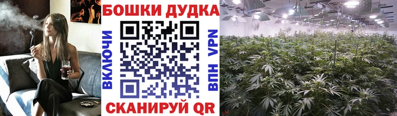 Конопля VHQ  Лобня 